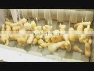 MSTP-80 Potato Carrot Vegetable Root Washing and Peeling Machine photo-5