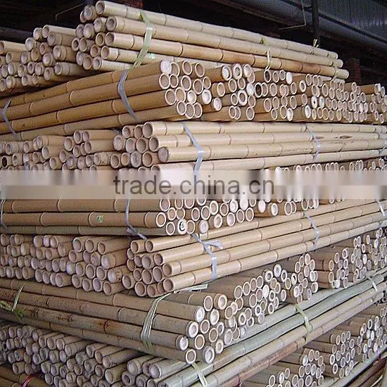 Raw and High Quality Bamboo Pole. photo-3