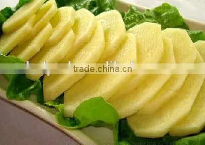 Garlic Slicer Machine photo-4