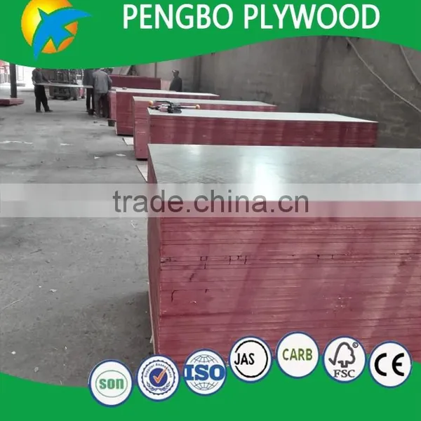 4'x8' Poplar Plywood for Concrete Formwork photo-4