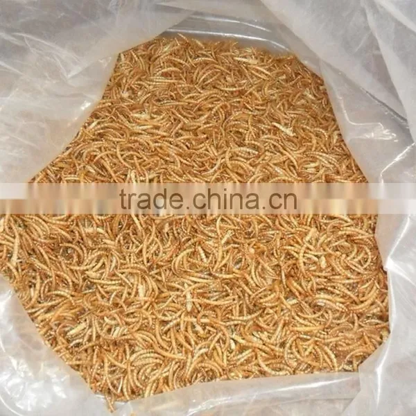 FDA Certification Dried Mealworms for Sale photo-2
