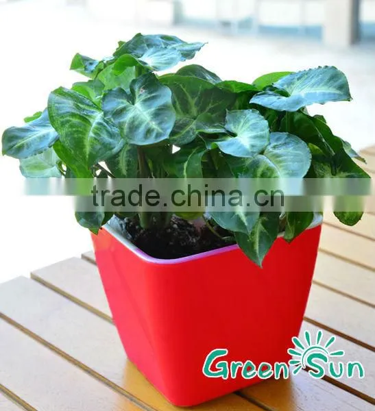 Garden Plastic Flower Pots,garden Planter Pots,self-watering Planter,hydroponic Systems Planter Pots photo-5