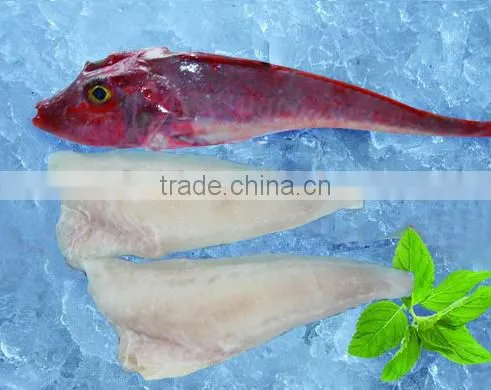 Red Gurnard With Frozen photo-3