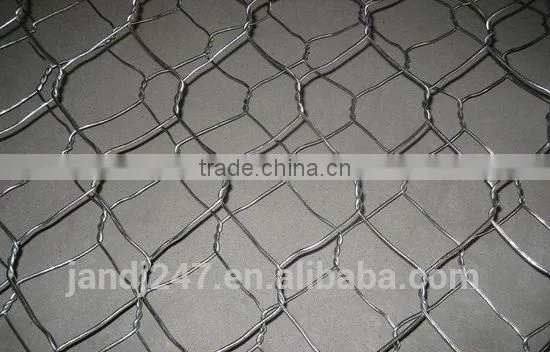Cheap Price GI Chain Link Fence Use For Protect Faming photo-5