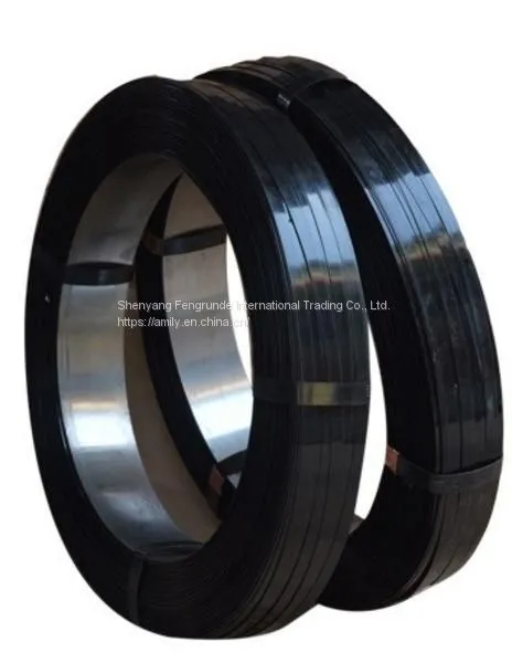 Black Coated Steel Strap