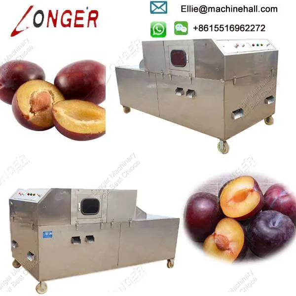 Fruit Factory Use Automatic Cherry Plum Pitting Machine photo-4