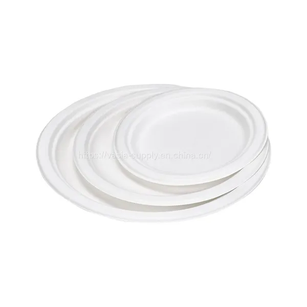 Eco Friendly Disposable Dishes-sugarcane Plates White Round Bleached 22 Cm-ecological Disposable Dishes Plates for Parties Disposable Plates Dishes photo-3