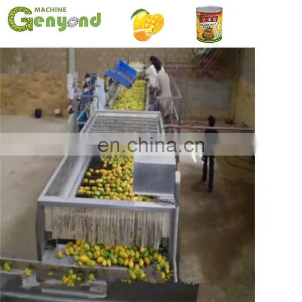 Mango Juice Jam Processing Machine photo-3