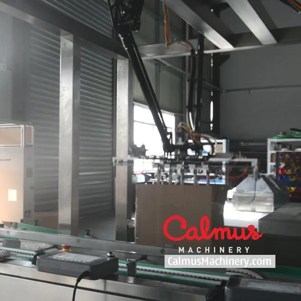 Snack Bags Case Packer Machine and Packaging Line photo-3
