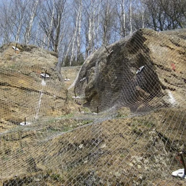 SNS High Tensile Steel Wire Mesh Chain Link Slope Protection Net China Supplier for Slope Stabilization photo-5