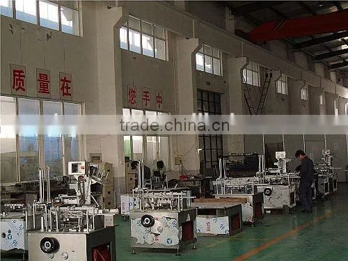 Automatic Horizontal Cartoning Machine for Pouch, Automatic Cartoning Packing photo-4