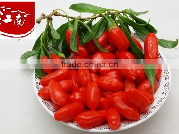 DRIED GOJI BERRY