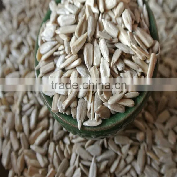 Sunflower Kernels for Oil Extract Refined photo-3