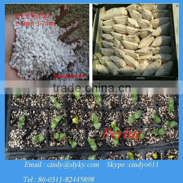 Agricultural Perlite Price photo-3