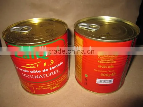 Factory Supply 800gram*12tins Tinned Tomato Paste photo-2