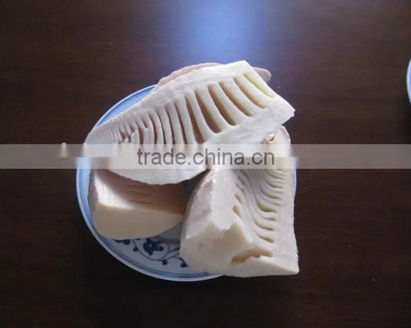 Half Canned Water Bamboo Shoot in 2950gram for Restaurant