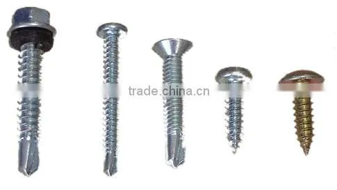Self-Tapping/Drilling Screws