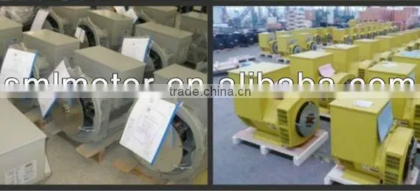 100% Copper Wire ST STC Pernanent Magnet Alternator Prices Generator 220V photo-6