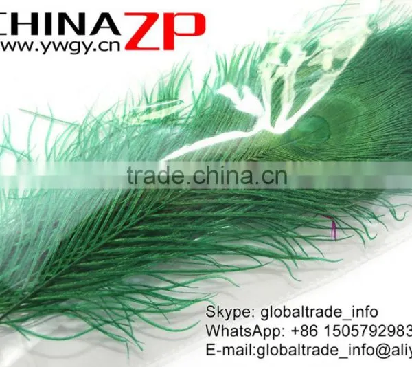 Leading Supplier CHINAZP Wholesale Cheap Full Eye Dyed Green Peacock Tail Feathers photo-6