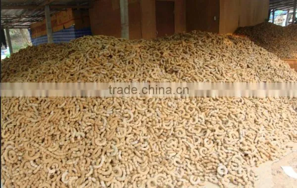 Sweet Tamarind photo-5