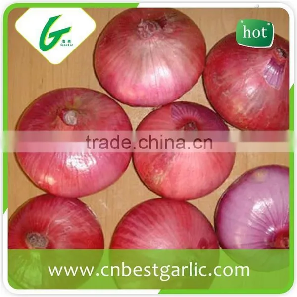 China Cheap Onion Price photo-3