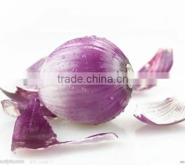Fresh Yellow Onion(in Low Price)