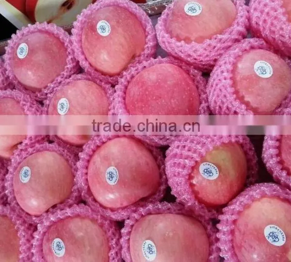 Chinese Fuji Apple photo-3