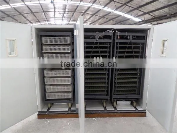 CE Approved Automatic 12000 Pcs Chicken Brooder Machine photo-3