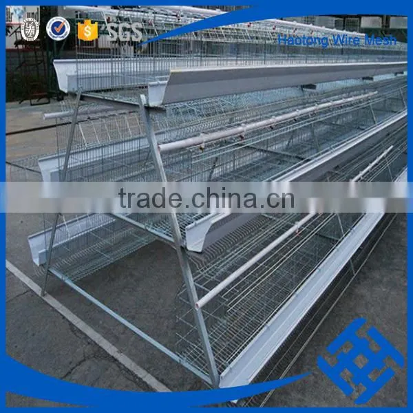 Welded Rabbit Cage Wire Mesh photo-4