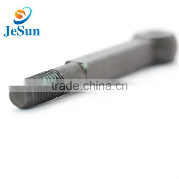 Made in China Special Screw With Round Head photo-4