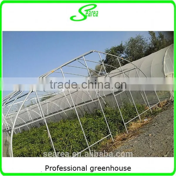 Durable Galvanized Steel Frame Greenhouse Agricultural Greenhouse photo-2