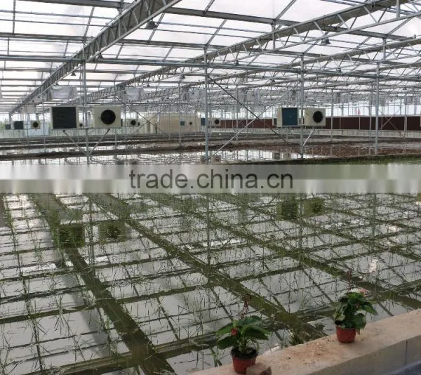 Commercial Greenhouse photo-3