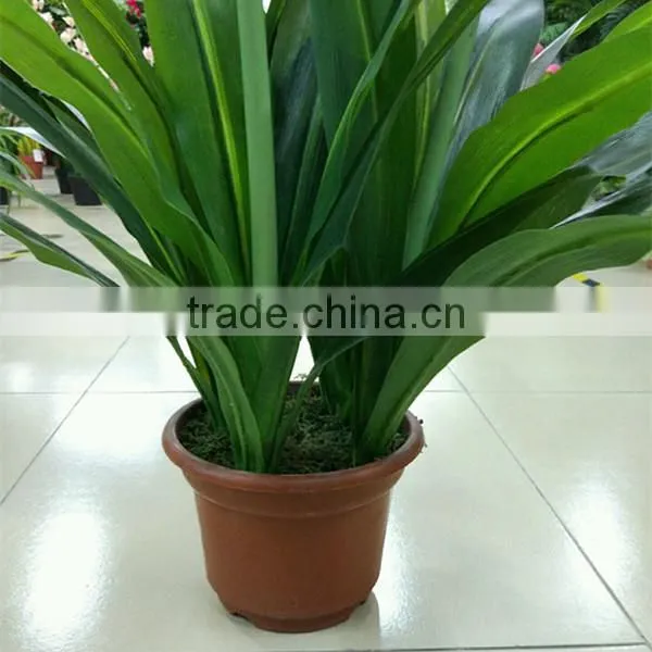 SJ300916 Artificial Indoor Decorative Bonsai Plant With Daffodils Flower photo-5