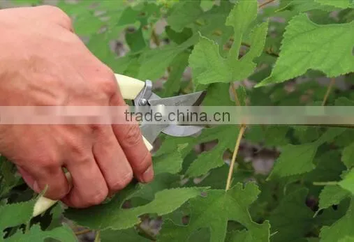 T130 By-Pass Pruners photo-4