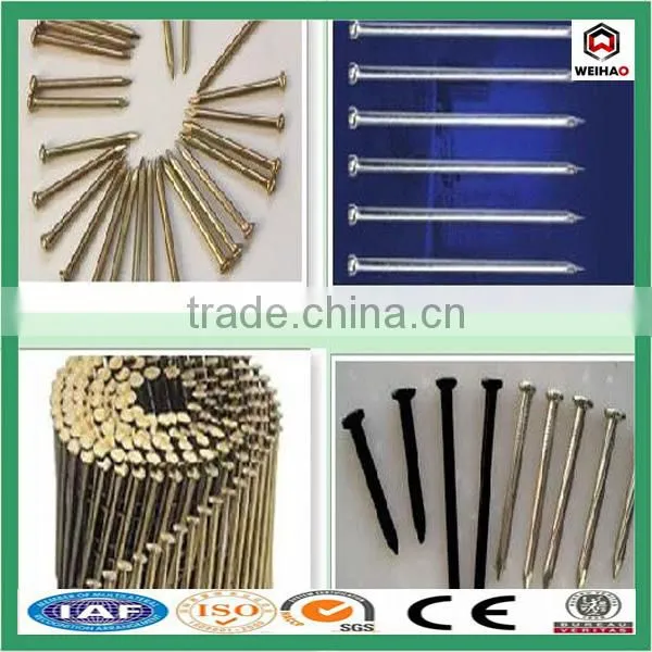 China Iso Factory Good Quality Construction Hot Sale Common Wire Nail photo-3