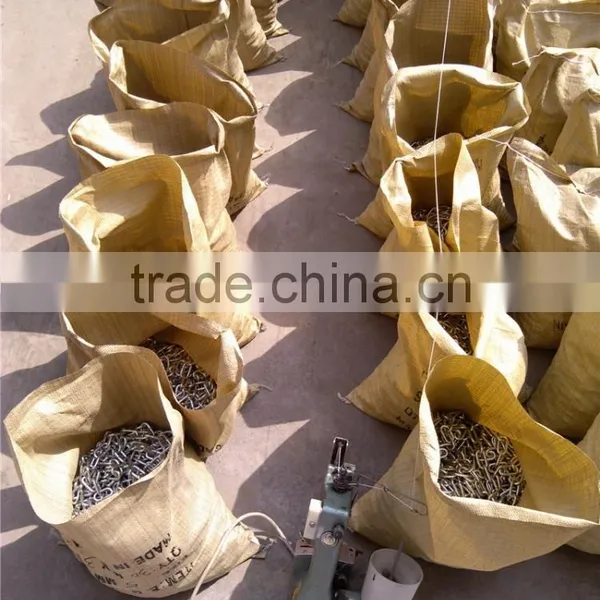 OEM Pet Chain Direct From Factory photo-5