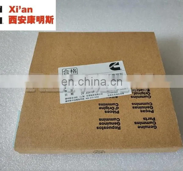 3102367 3161808 3899561 3896226 3077354 Cummins Engine ISM QSM11 Articulated Piston Oil Ring photo-2