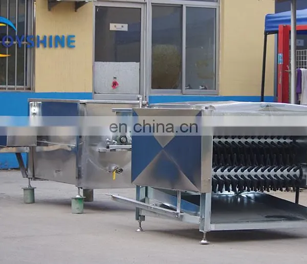 Small Scale Poultry Processing Equipment Chicken Defeather Machine photo-4