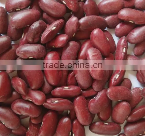 Organic Red Kidney Bean photo-2