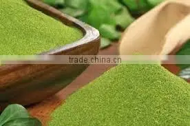 Moringa Leaf Powder