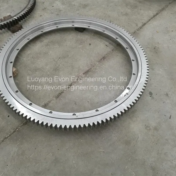 OEM Internal Gear Slewing Bearing Excavator Slewing Ring Final Drive photo-2