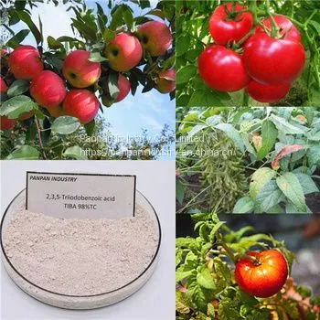 Hot Sale Biochemicals Tiba 2 3 5triiodobenzoic Acid 98 tc Powder Tiba Good Product photo-2