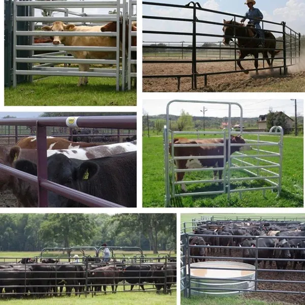 Hot Sale Galvanized Cheap Heavy Duty Cattle Yard Panel Welded Wire Mesh Bulk Cattle Panel photo-4