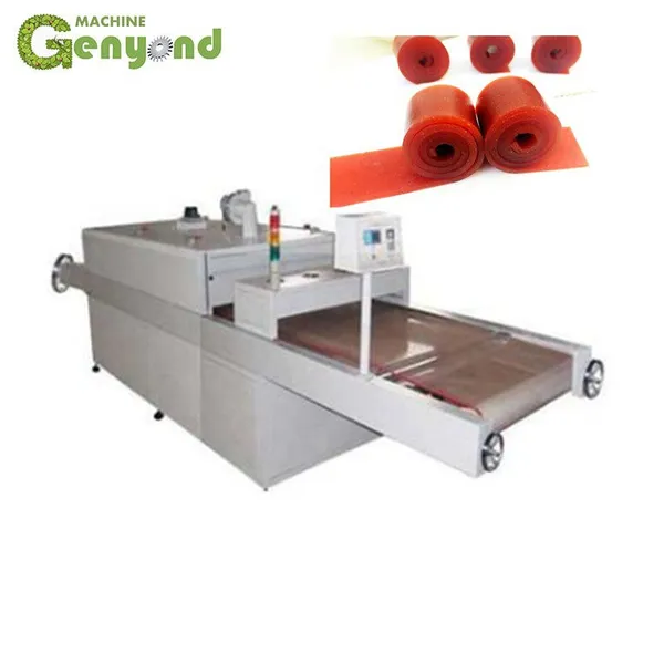 Shanghai Complete Mango Bar Production Line for Food Processing for Fruit Processing photo-3