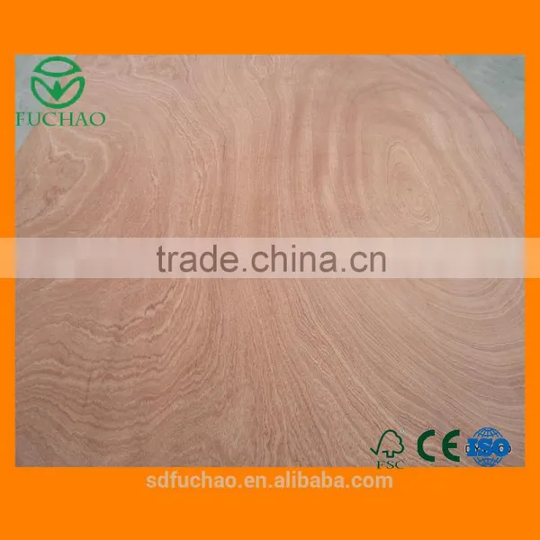 Poplar Veneer for Decaration photo-4