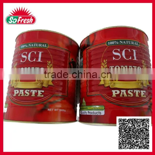 Tinned and Plastic Packed Canned Tomato Sacue photo-2