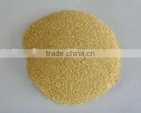 Dehydrated Garlic Powder/granule/ Flakes photo-3