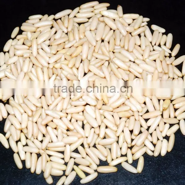 Pine Nut and Pine Kernel