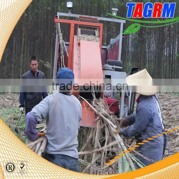 New Condition Brand Product 6BCT-5 Sugarcane Leaf Machine Sugarcane Peeling Machine photo-3