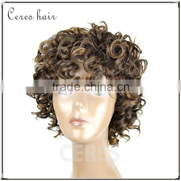 100% Premium Synthetic Wig Short Wig Afro Kinky Curly Wig for Black Women photo-2